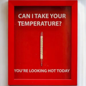 Thermometre Box Frame